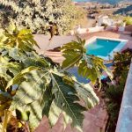 Imagen-de-WhatsApp-2022-11-07-a-las-10.38.512