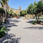 WhatsApp-Image-2022-07-24-at-11.34.54-AM