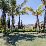 WhatsApp-Image-2022-07-24-at-11.34.57-AM