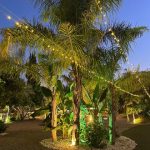 WhatsApp-Image-2022-08-19-at-1.41.19-PM