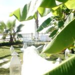 dsc00455_1_78598