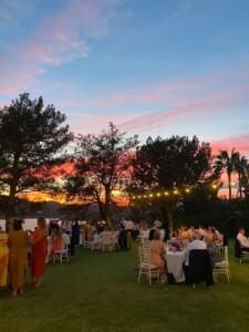 WhatsApp-Image-2026-03-29-at-16.50.14