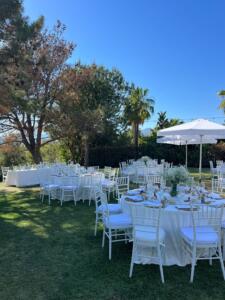 WhatsApp-Image-2026-03-31-at-18.39.55-3